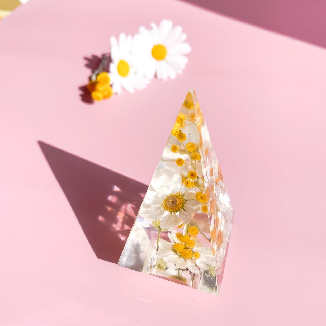 Chamomile Daisies & Wattle Ring holder