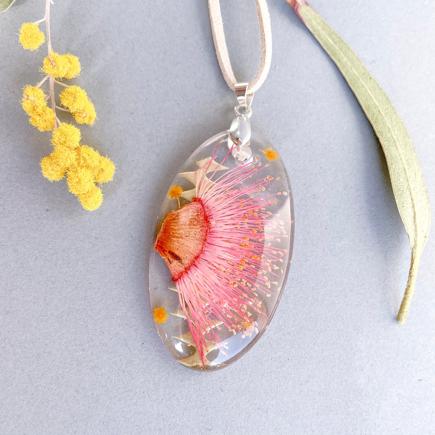 Pink gum  Blossom & Banksia