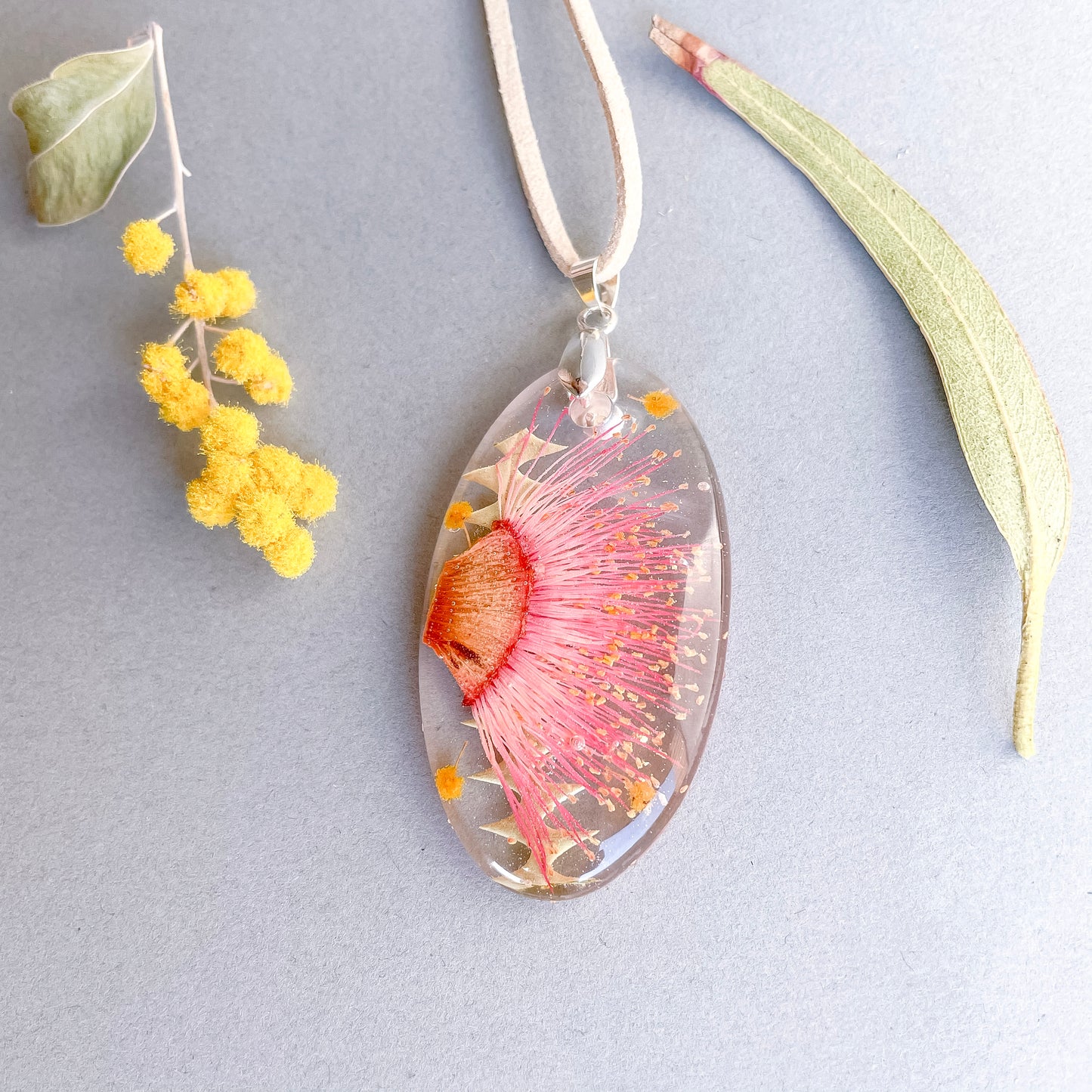 Pink gum  Blossom & Banksia