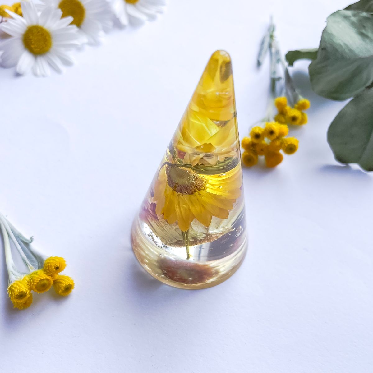 Yellow everlasting Daisy Ring Cone