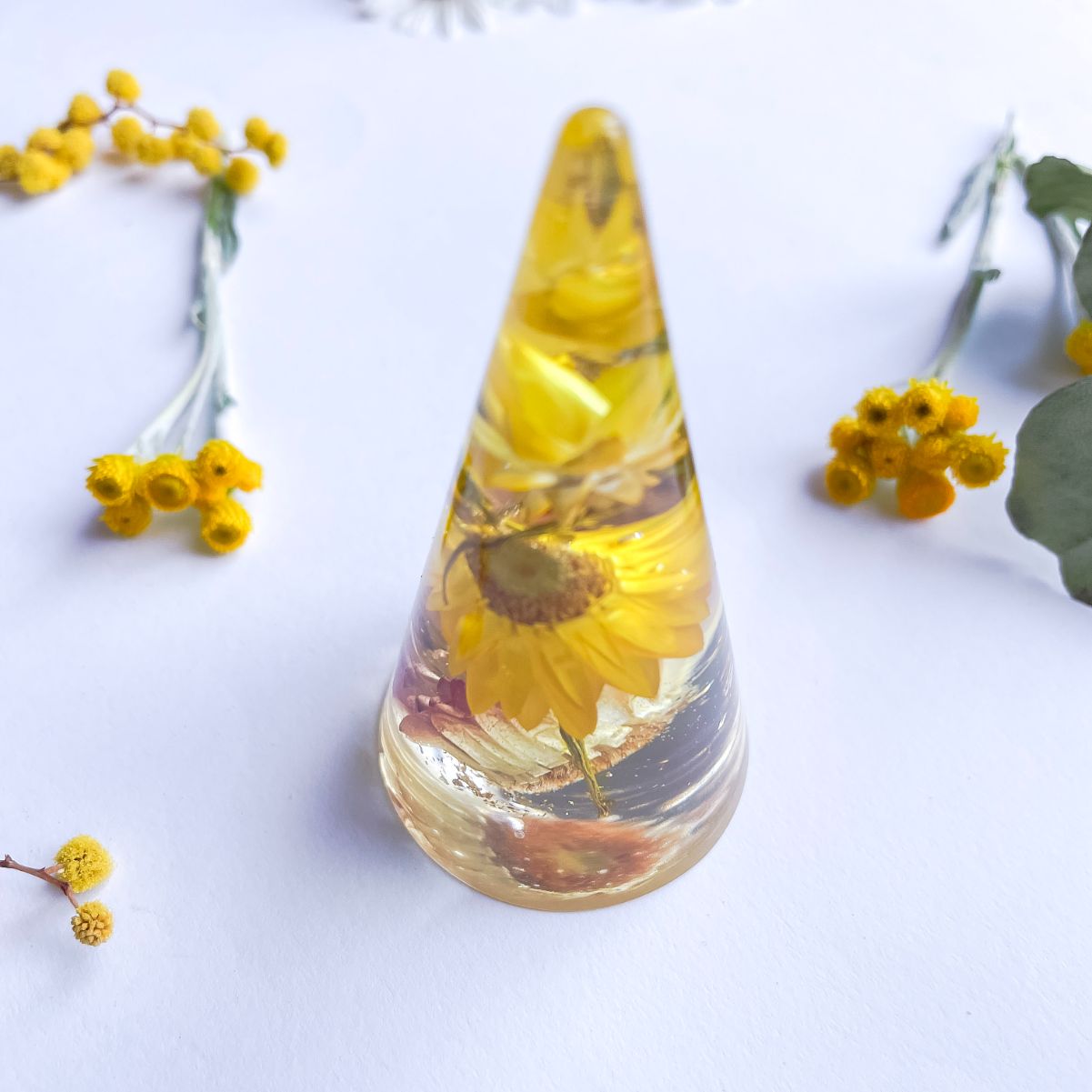 Yellow everlasting Daisy Ring Cone