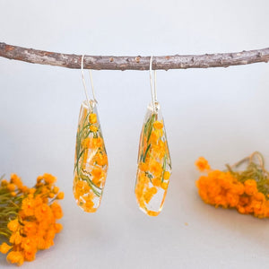 Faceted Dangles - Verticordia