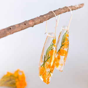 Faceted Dangles - Verticordia