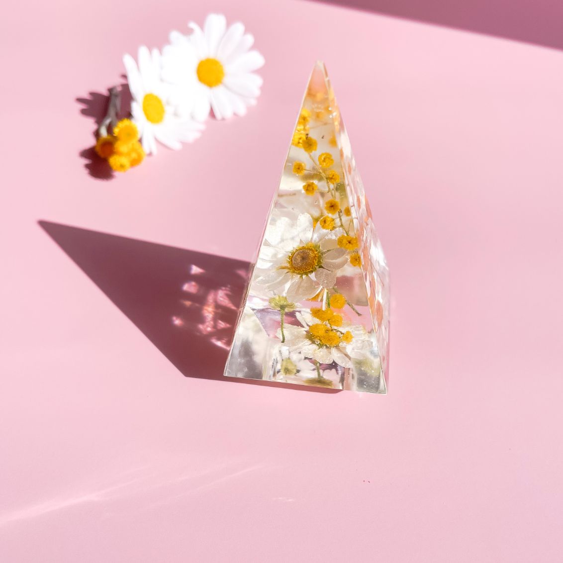 Chamomile Daisies & Wattle Ring holder