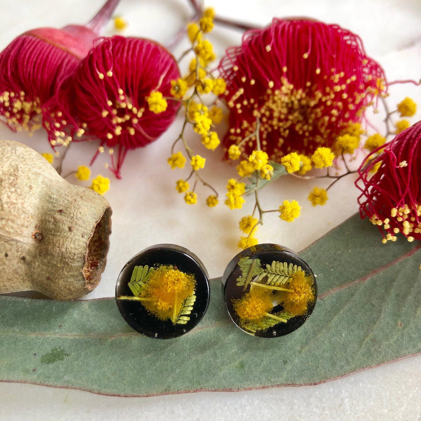 Button Studs - Golden Wattle - Little Hurricane Co