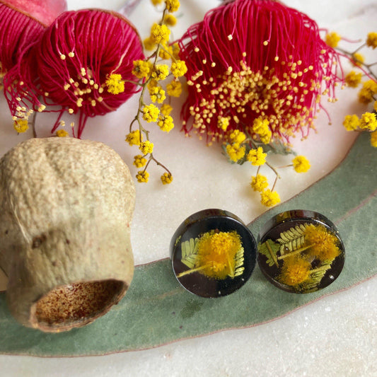 Button Studs - Golden Wattle - Little Hurricane Co