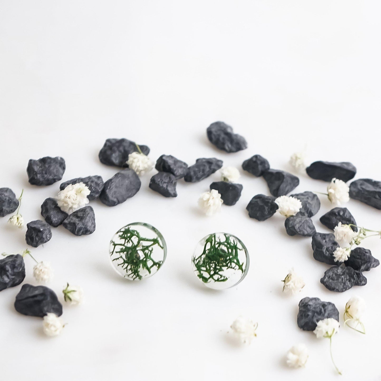 Button Studs - Reindeer Moss - Little Hurricane Co