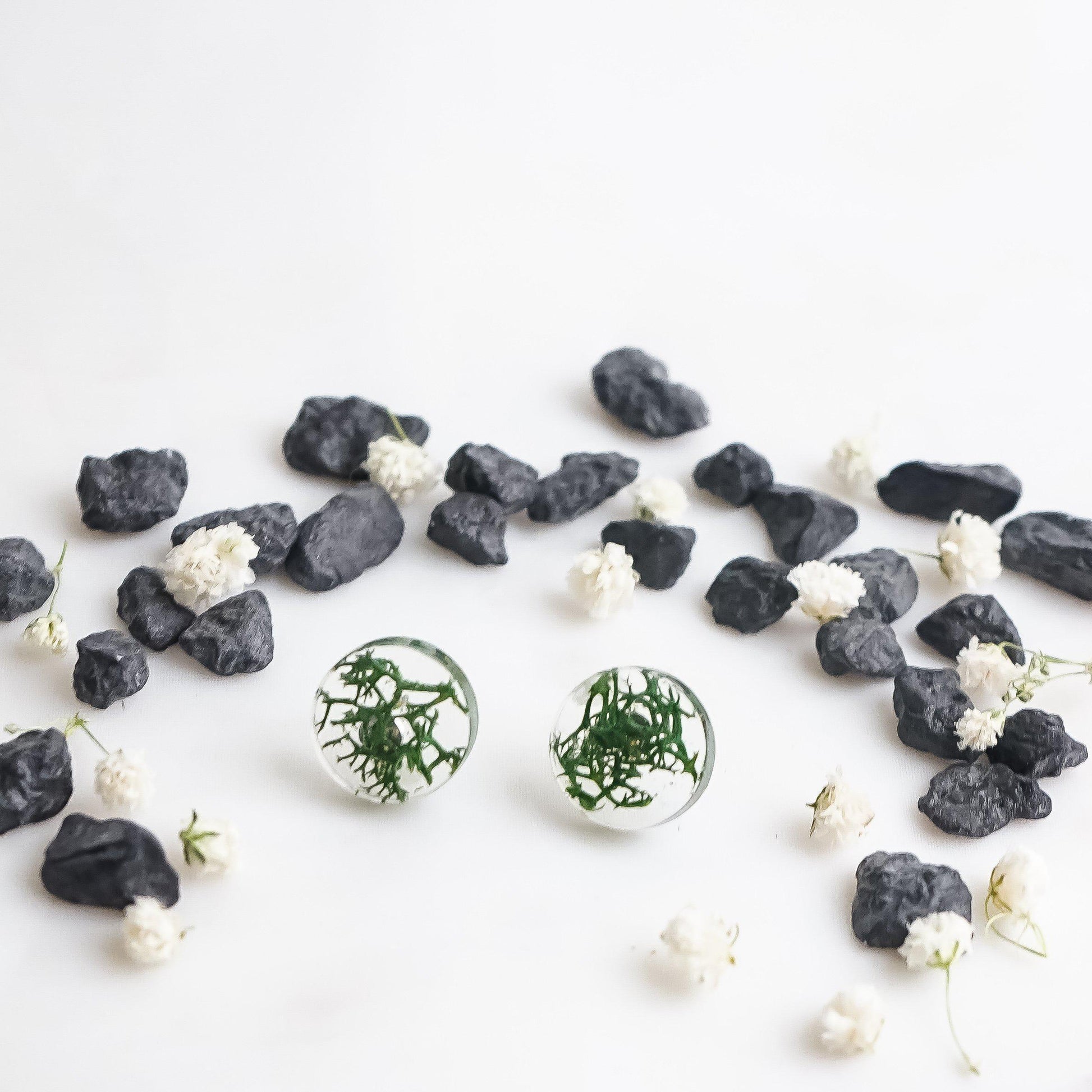 Button Studs - Reindeer Moss - Little Hurricane Co