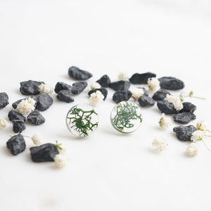 Button Studs - Reindeer Moss - Little Hurricane Co