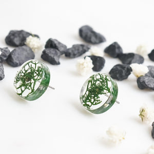 Button Studs - Reindeer Moss - Little Hurricane Co