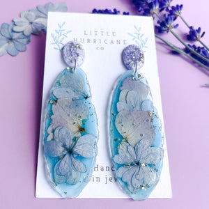 Hydrangea Blue Dreams Geode