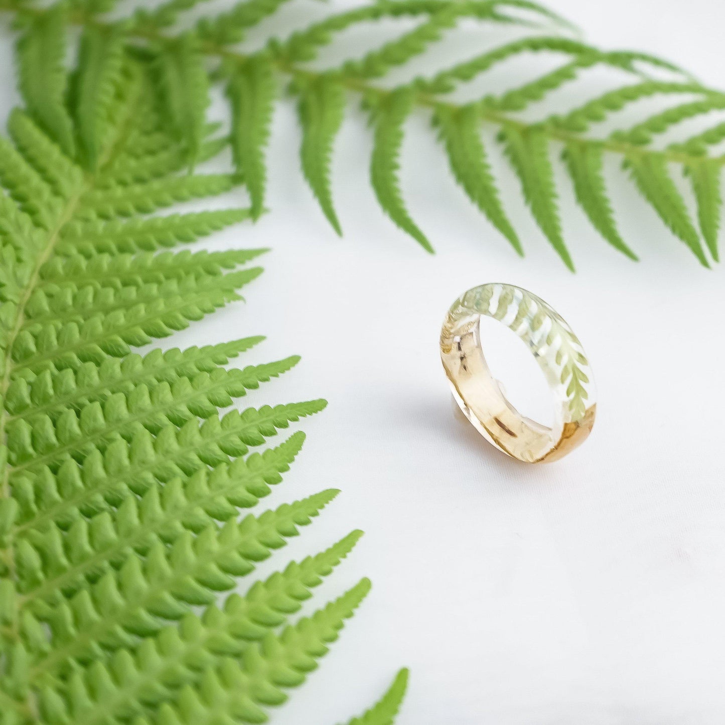 Little fern ring - Little Hurricane Co