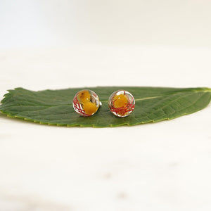 Sphere Studs - Golden Wattle & Gumnut Blossom - Little Hurricane Co